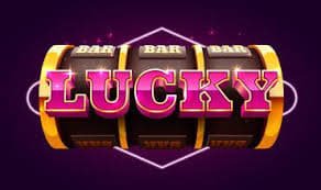 bet pix 365 bet pix 365