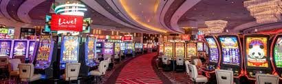 bet pix 365 bet pix 365